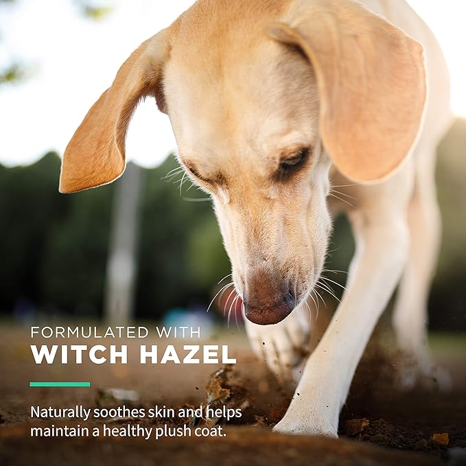 Wet Ones for Pets Extra Gentle Dog Wipes with Witch Hazel - Fragrance-Free, Hypoallergenic Pet Grooming Wipes for Snout, Eye, and Ear Areas, Sensitive Skin, 30 Count - 24 Pack