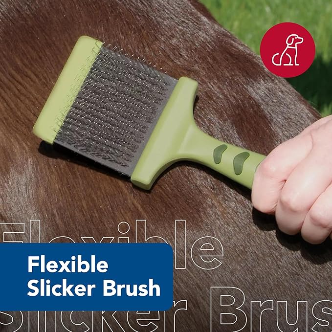 Coastal Pet Safari Dog Flexible Slicker Brush - Dog Brush for Shedding - Undercoat Rake & Grooming Tools for Small & Medium Pets - Medium