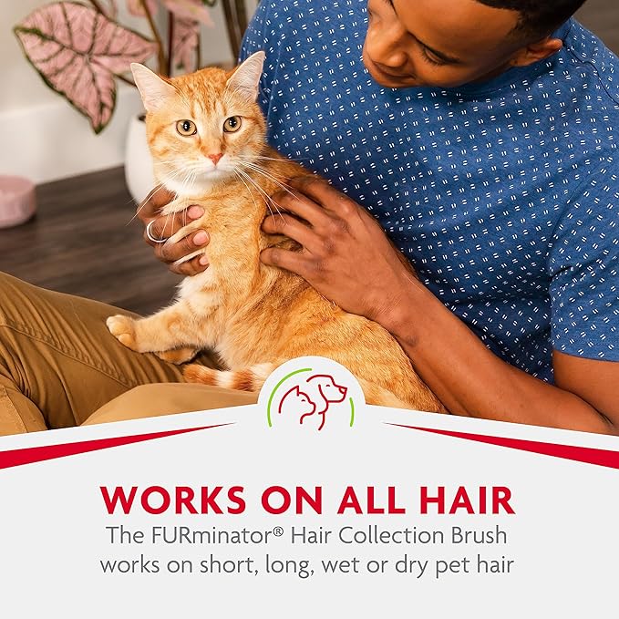 FURminator Hair Collection Rubber Brush For Cats Removes Loose Hair On Pets, Upholstery, Clothing, Carpets And Rugs For Easy Cleanup, 1 Count