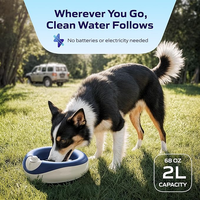 Maxi Filtered Dog Water Bowl, 2L/68oz - No Power or Batteries Needed, Auto-Refill, No Spill, Portable Travel Lock, Carbon Filter, BPA-Free, Dogs & Cats
