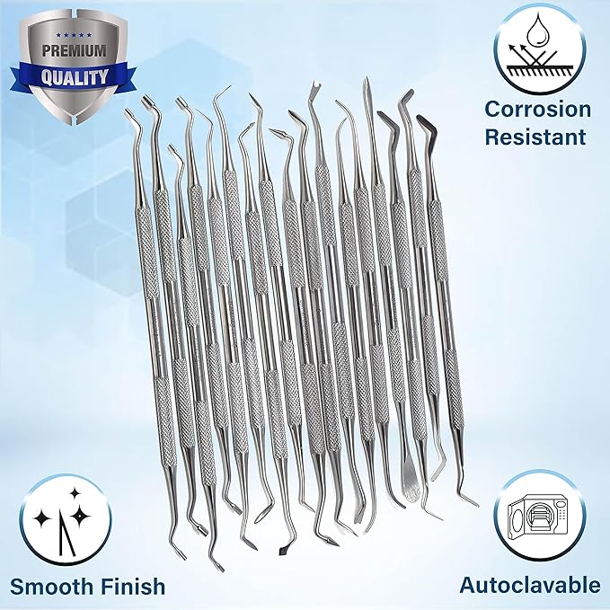 Professional Dental Tools Dental Picks Oral Care, Stainless Steel Hygiene Kit Set with Tooth Scraper Tartar Scaler Tweezers Mouth Mirror for Personal & Pet Oral Care Use (Restorative Set of 17 pcs)