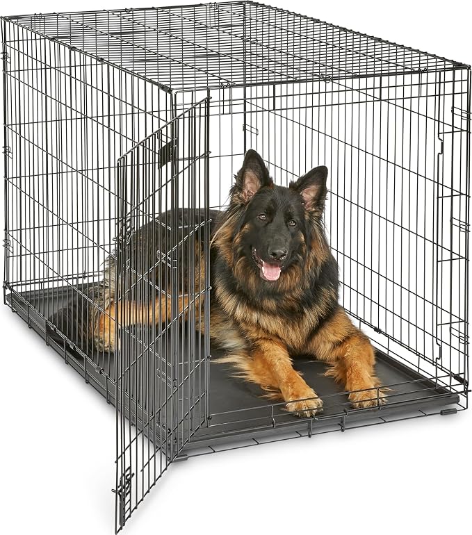 Midwest 48-Inch Single Door iCrate, for Extra-Large Breeds, 90-110 lbs