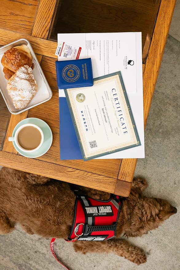 International Pet Passport & Dog Passport Holder – Cat & Dog Travel Accessories Organizer for Vet Records, Vaccinations & ID – Standard Size, Blue