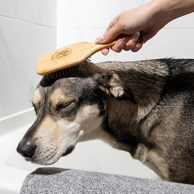 Doggy Style Small Bamboo Dog Brush, Deshedding, Grooming, All Natural, Hair Brush