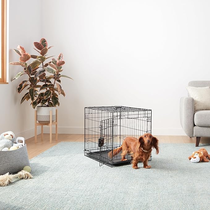 Amazon Basics Portable, Foldable Metal Wire Small Dog Crate with Removable Tray, Divider Panel, Single Door, Easy to Assemble, 24" x 18" x 20", Black