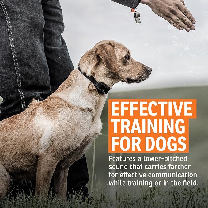 SportDOG Roy Gonia Special Whistle - Orange with Pea | Dog Training Whistle, Pea Design, Low Pitch Trill Carries farther