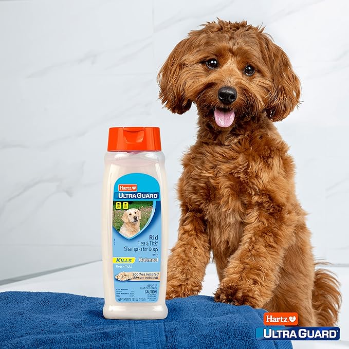 Hartz UltraGuard Rid Flea & Tick Oatmeal Dog Shampoo, 18 oz Bottle