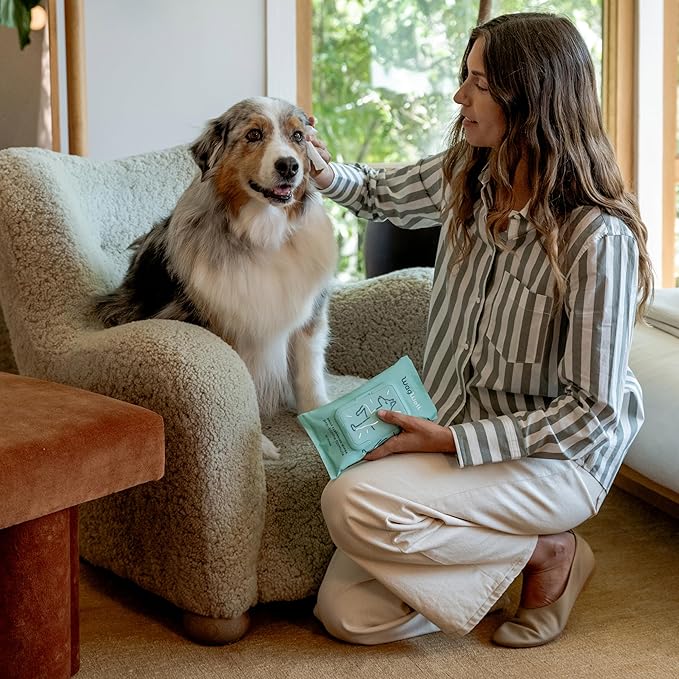 WagWell Daily Cleansing Dog Wipes, 50 Count | Vet-Approved, Helps Reduce Odor, Fragrance-Free, Microbiome-Friendly Dog Grooming Wipes | Gentle Head-to-Tail Cleaning for Paws, Coat & Skin (Avoid Eyes)
