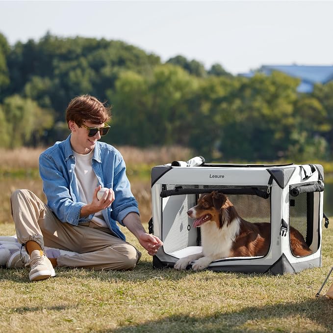 Lesure Portable Soft Collapsible Dog Crate for Medium Dogs, 30in Light Grey | Travel Camping Pet Kennel, 4-door, Indoor and Outdoor Use, Easy to Set Up and Fold, For Medium Breeds Up to 50lbs