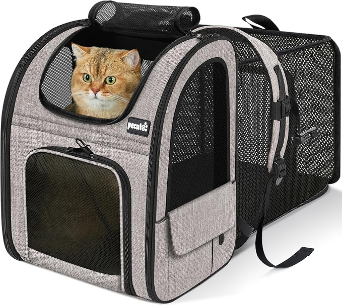 pecute Cat Backpack Expandable, Cat Backpack for Cat with Breathable Window | Durable Oxford Cloth, Lockable Zipper,Use for Pet Under 11 lbs to Travel