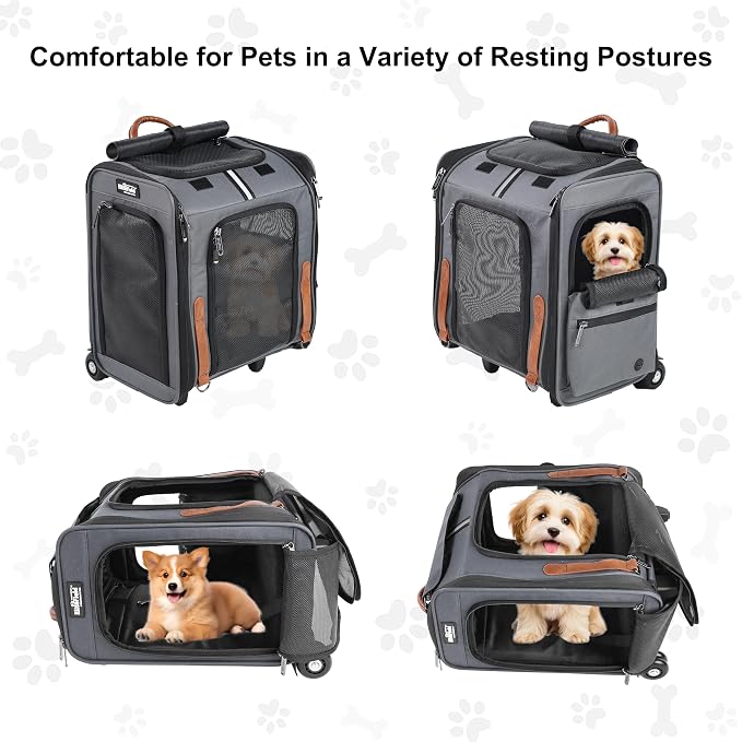 EliteField Deluxe Rolling Backpack Dog & Cat Carrier (2-Year Warranty) | Airline Approved, Waterproof Fabric, Scratch-Resistant Mesh, Retractable Handle, Wheels, Built-In Leash