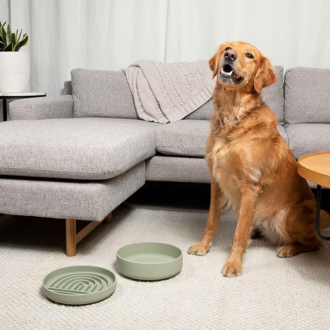 Should We Go? Dog Water Bowl - The Perfect Dish No-Spill, Less Mess Non-Tippable Water & Food Bowl, Pure Silicone with Suction Cup, Fits 8 Cups 9.5" Across x 2.5" Tall, Ideal for All Pets, Large-Blush