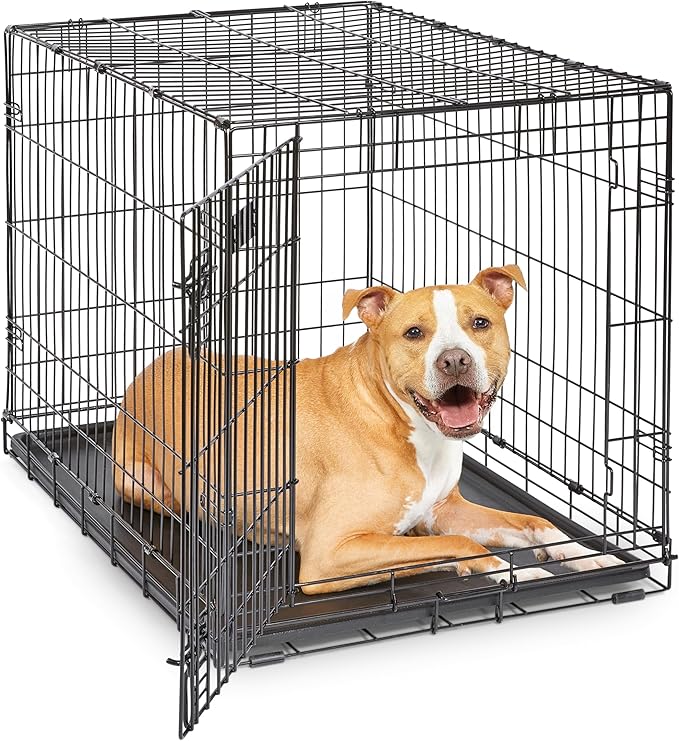 Midwest 36-Inch Single Door iCrate, for Medium-Large Breeds, 41-70 lbs