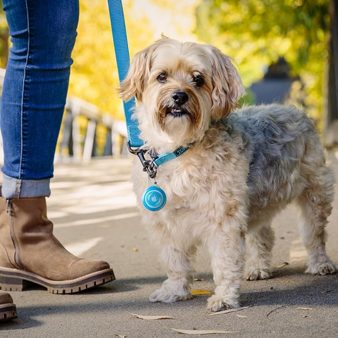 Nite Ize Wearabout Pet Clippable Tracker Holder - Compatible with Apple AirTag - Pet Tracker Keychain & Carabiner Clip - Lightweight Holder with SlideLock Case, Steel Clip & Wire Gate - Blue (2 Pack)
