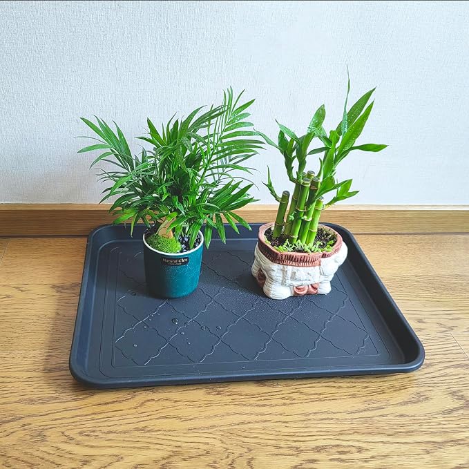 Small Boot Tray for Entryway Indoor, 2 Pack Wet Shoe Matt Tray for Floor Protection,Plastic Boot Mat w/Lip, Wet Shoe Mats for Mudroom (16.54in*12.6in*1.2in)