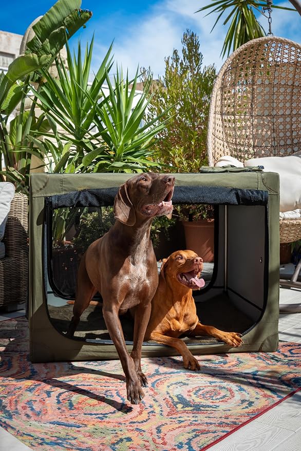 Noah & Paw Collapsible Dog Crate 36 Inches, XL Dog Crate for XL, Large Medium Breed, Travel Kennel for Car, Includes Pet Mat for Pet Cage, 2 Storage Pockets, Handbag, 10mm Locking Zippers 36*25*23