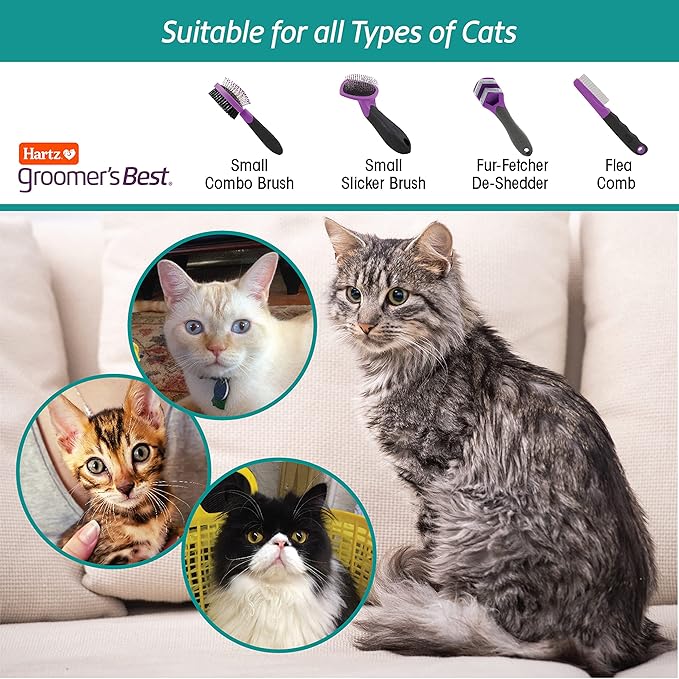 Hartz Groomer's Best Small Slicker Brush for Cats and Small Dogs, Black/Violet, 1 Count (Pack of 3)