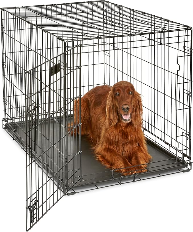 Midwest 42-Inch Single Door iCrate, for Large Breeds, 71-90 lbs