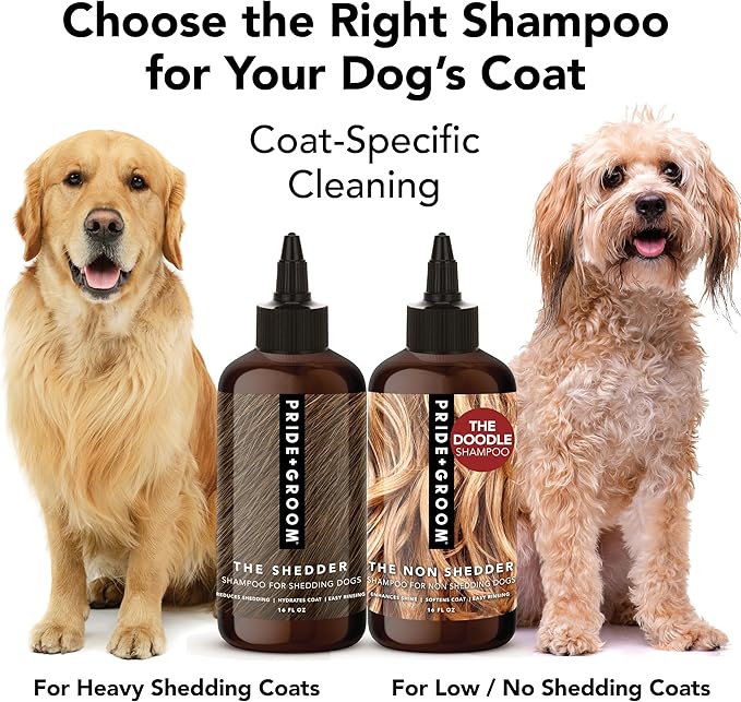 Pride and Groom The Shedder | Dog Deshedding Shampoo | All Natural Body Wash with Essential Oils & Ingredients that Reduce Pet Shedding & Fur Dander for Curly and Wavy Coats – 16oz