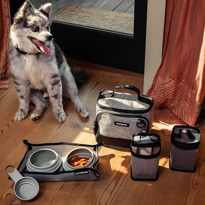 Small 7-Piece Bistro Box Dog Food Travel Kit, 6-Cup BPA-Free Kibble Storage, 2 Silicone Bowls, Mat & Scoop - Portable Pet Food Kit for Weekends, Overnights, Daycare & Camping, Heather Grey