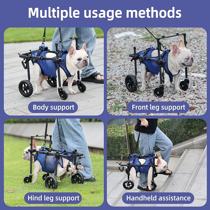 Quad Dog Wheelchair for Disabled Dogs, 4-Wheel Mobility Cart with Harness | Stable 4-wheel support with breathable harness helps senior and disabled dogs move with greater comfort and confidence.