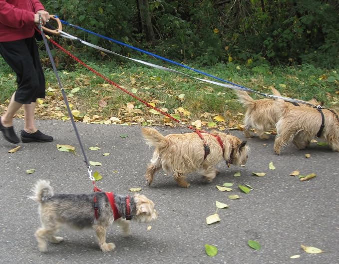 Triple Dog Leash Handle, 3 Way Dog Coupler Multi-Leash UTurn Handle with which you can walk 3 dogs on 3 leashes and untangle in seconds. Black.