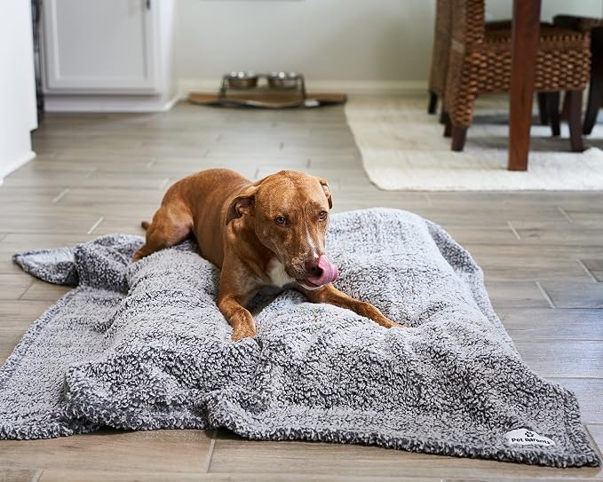 PET Parents Premium CAT, Puppy and Dog Blanket, Slate, Large