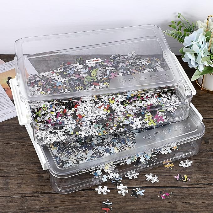 BTSKY 2 Pack Plastic Storage Containers with Lids, Portable Project Case Document Organizer Stackable Plastic File Storage Box for A4 File Paper Documents Scrapbook Art Supplies&Crafts(Big, White)