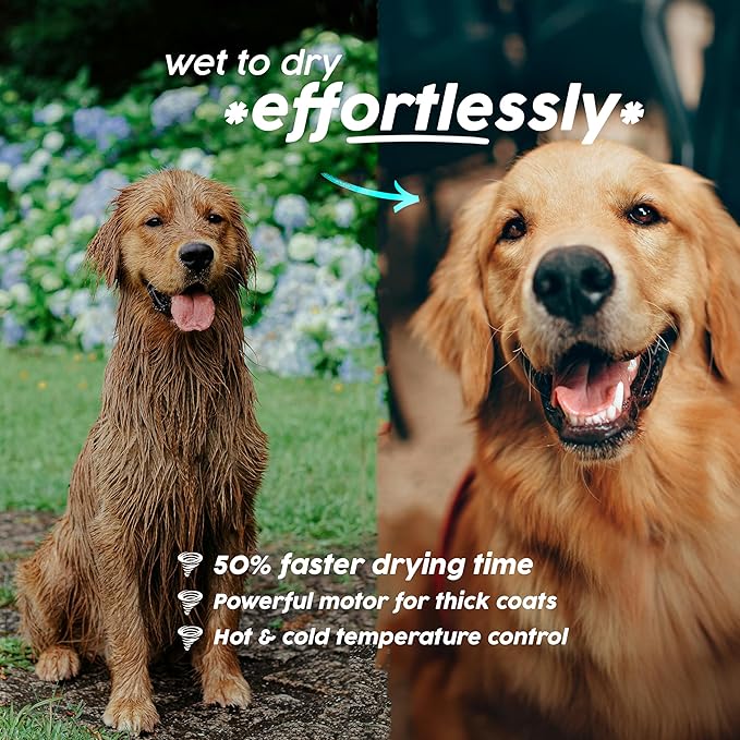 CYCLONE v4® Professional Dog Hair Blow Dryer for Large Dogs | 1800W High Velocity Force Dryer with Quiet Motor | Adjustable Heat & Speed | Pet Grooming Blaster Kit with 4 Nozzles