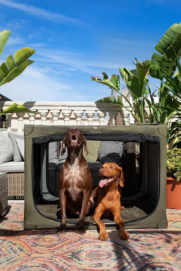 Noah & Paw Collapsible Dog Crate 42 Inch, XXL Dog Crate for XXL, XL, Large Breeds, Travel Kennel for Car, Includes Pet Mat for Pet Cage, 2 Storage Pockets, Handbag, 10mm Locking Zippers 42 * 31 * 31