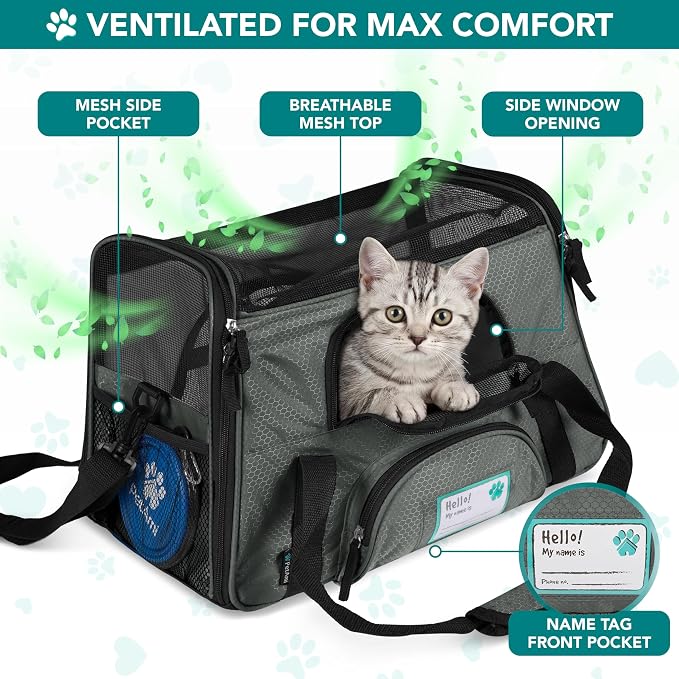 PetAmi Airline Approved Pet Carrier for Cats & Small Dogs, Small, Dark Gray | Soft Sided TSA Travel Bag, Sherpa Bed, Breathable Mesh Ventilation, Collapsible Bowl, Fits Under Seat, Up to 18 lbs