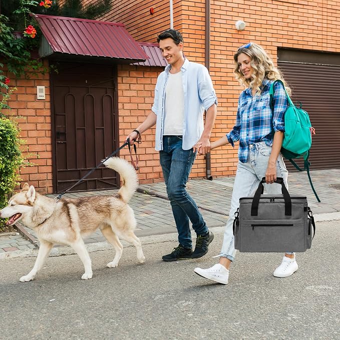 MYDAYS Dog Travel Bag, Pet Luggage Suitcase, Weekend Tote Carrier with Collapsible Bowl (Gray)