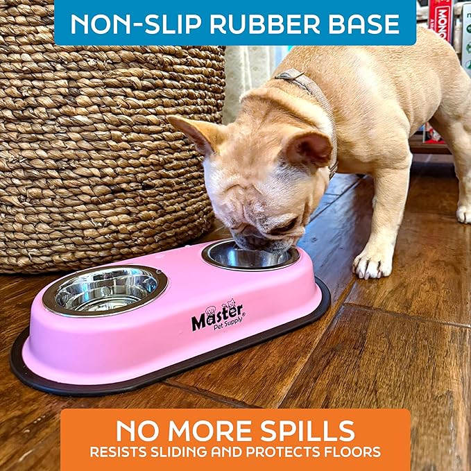 Master Pet Supply Double Dog Bowls Set with Elevated Base and 2 (8 oz) Stainless Steel Removable Dishes (Pistachio) – Double Cat Food Water Bowl, Dog Puppy Food Bowl Set, Rust Resistant