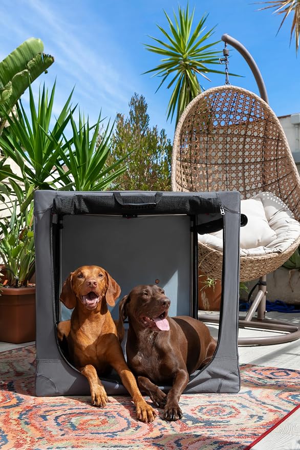 Noah & Paw Collapsible Dog Crate 42 Inch, XXL Dog Crate for XXL, XL, Large Breeds, Travel Kennel for Car, Includes Pet Mat for Pet Cage, 2 Storage Pockets, Handbag, 10mm Locking Zippers 42 * 31 * 31