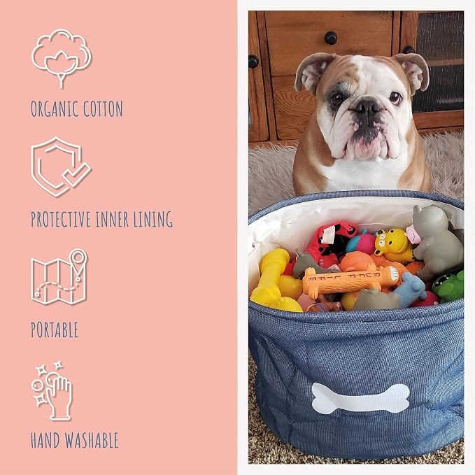 Park Life Designs - Dog Toy Storage for All Pets, Including Cats, Puppies, and Kittens (Capri, Blue, White Bone)