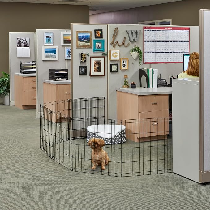 MidWest 30-Inch Exercise Pen, No Door, 16 Sq Ft Play Area | for Indoor and Outdoor Use, No Door Design for Maximum Security, Easy to Set Up, Foldable Playpen