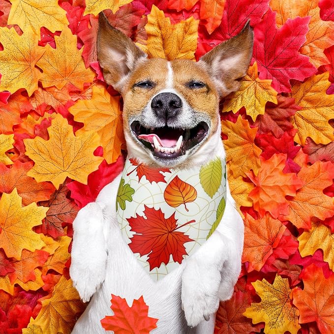 Abbylike 50 Pcs Fall Dog Bandanas Bulk, Autumn Maple Leaves Pattern