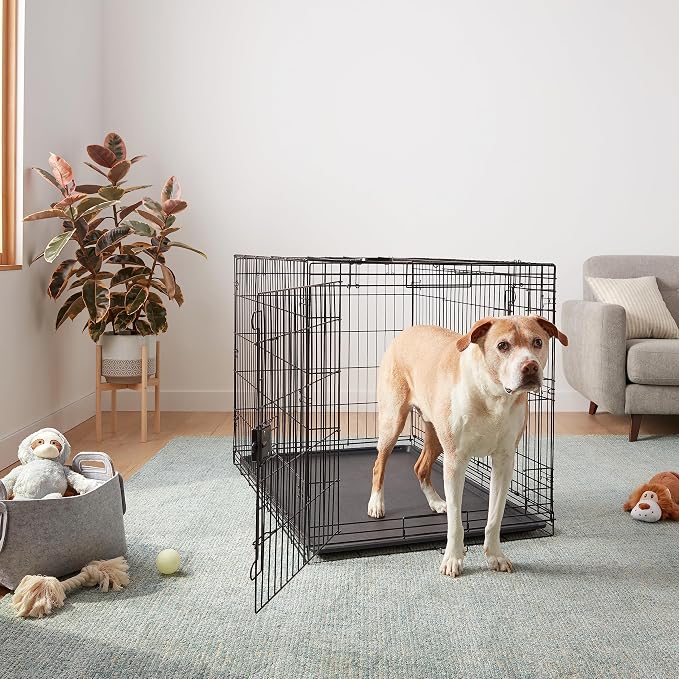 Amazon Basics Portable Metal Wire Dog Crate for Large Dogs, Double Door with Removable Tray, Divider Panel, Easy to Assemble, 48" x 30" x 32.5", Black