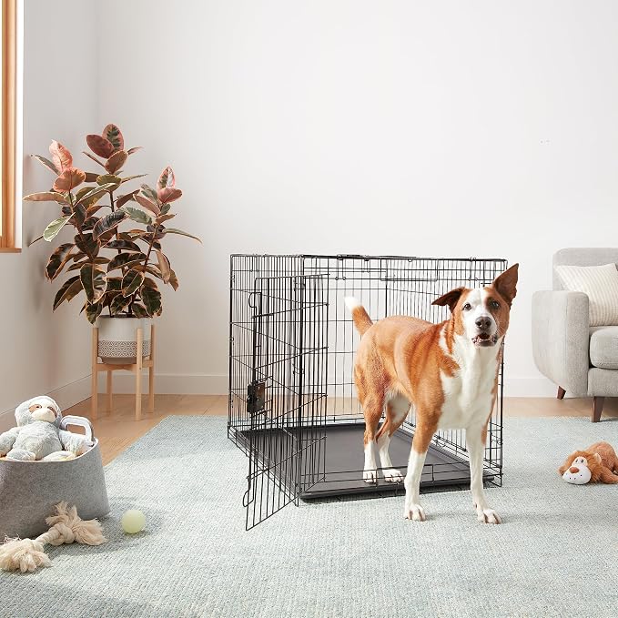 Amazon Basics Durable, Foldable Metal Wire Dog Crate with Removable Tray, Single Door, Divider Panel, 42 x 28 x 30 in, Black