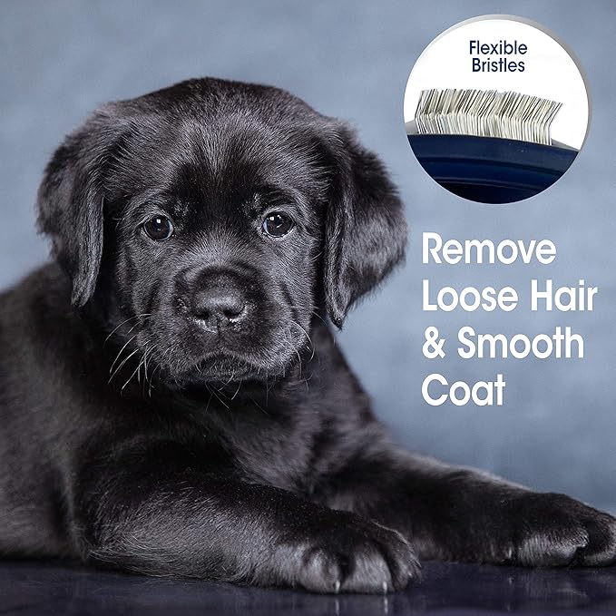 Four Paws Magic Coat Professional Series Grooming Tools - Trimmers, Nail Clippers, and Brushes for Pets
