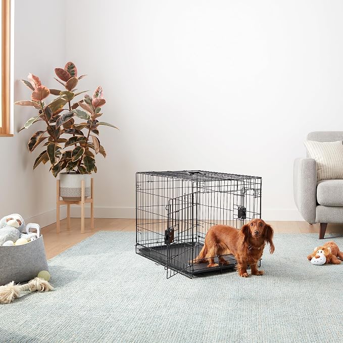 Amazon Basics Portable, Foldable Metal Wire Dog Crate with Removable Tray, Double Door, Divider Panel, Easy to Assemble, 30 x 19 x 21 in, Black