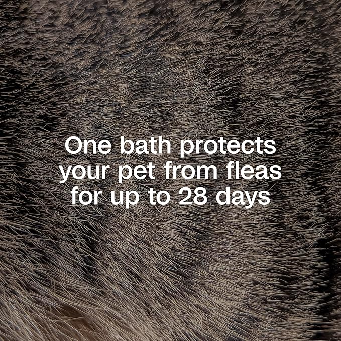 ADAMS Plus Flea & Tick Shampoo with Precor for Dogs, Cats, Puppies & Kittens, Flea Shampoo to Treat Flea Infestations, Kills Ticks, Fleas, Flea Eggs & Lice, Cleans and Conditions Coat, 1 Gallon