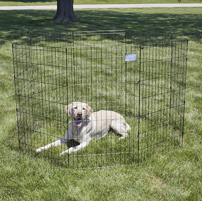 MidWest 42-Inch Exercise Pen, No Door, 16 Sq Ft Play Area | for Indoor and Outdoor Use, No Door Design for Maximum Security, Easy to Set Up, Foldable Playpen