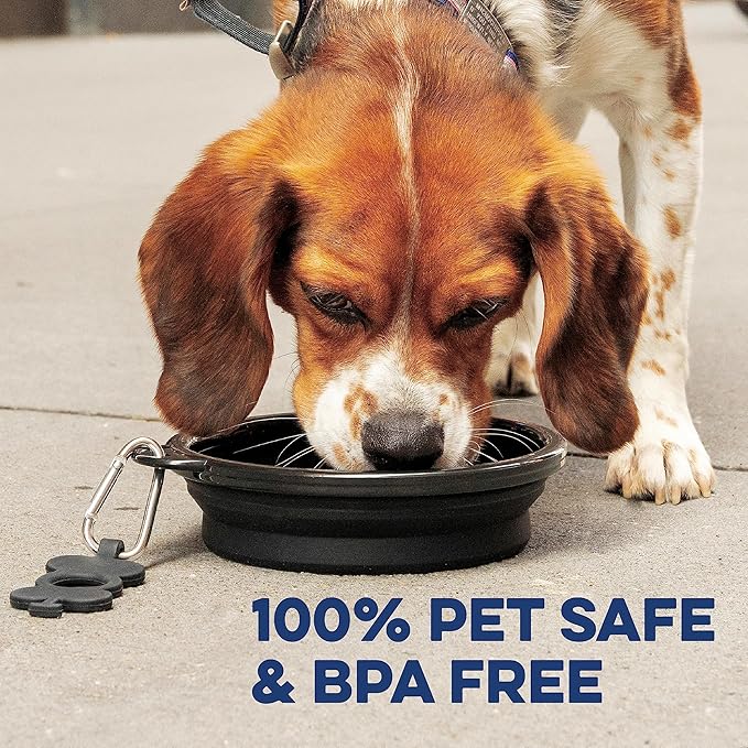 Bonza Collapsible Dog Bowls - X-Large 50 oz, Dog Travel Accessories, Silicone Portable Dogs Bowl & Water Dish with Reinforced Rim & Carabiner for Hiking, Camping, and Car Trips, Moss Green
