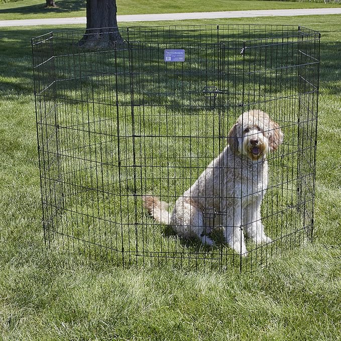 MidWest 48-Inch Exercise Pen, Single Door, 16 Sq Ft Play Area | for Indoor and Outdoor Use, Large Door Opening & Secure Latch, Easy to Set Up, Foldable Playpen