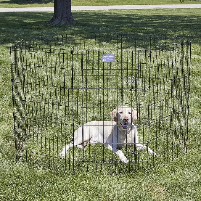 MidWest 42-Inch Exercise Pen, Single Door, 16 Sq Ft Play Area | for Indoor and Outdoor Use, Large Door Opening & Secure Latch, Easy to Set Up, Foldable Playpen