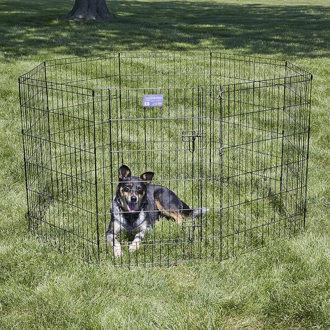 MidWest 36-Inch Exercise Pen, Single Door, 16 Sq Ft Play Area | for Indoor and Outdoor Use, Large Door Opening & Secure Latch, Easy to Set Up, Foldable Playpen
