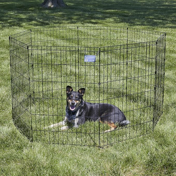 Midwest 36-Inch Exercise Pen, No Door, 16 Sq Ft Play Area | for Indoor and Outdoor Use, No Door Design for Maximum Security, Easy to Set Up, Foldable Playpen